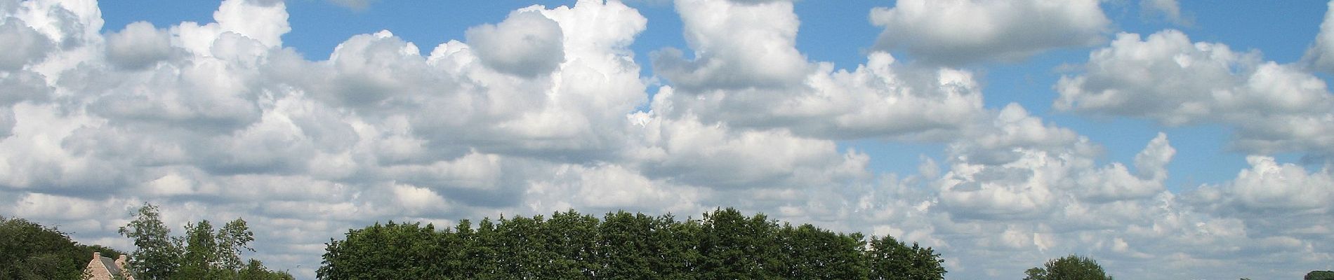 Percorso A piedi Beernem - Oedelemberg - Photo