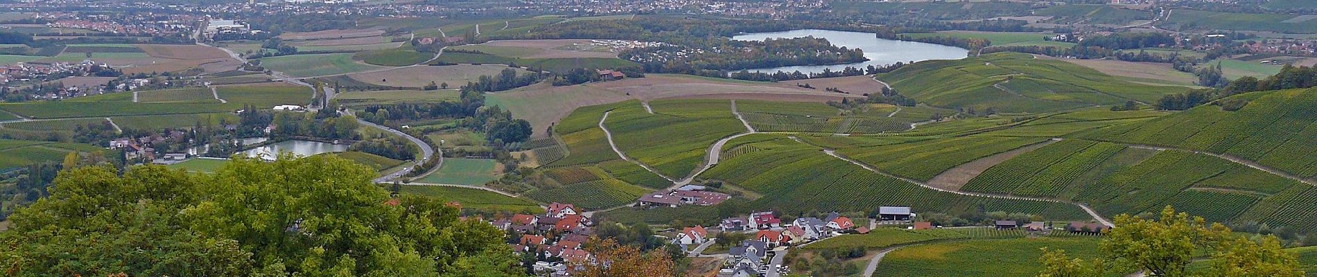 Tocht Te voet Löwenstein - WT12 Wald- und Wiesentour Löwenstein - Photo