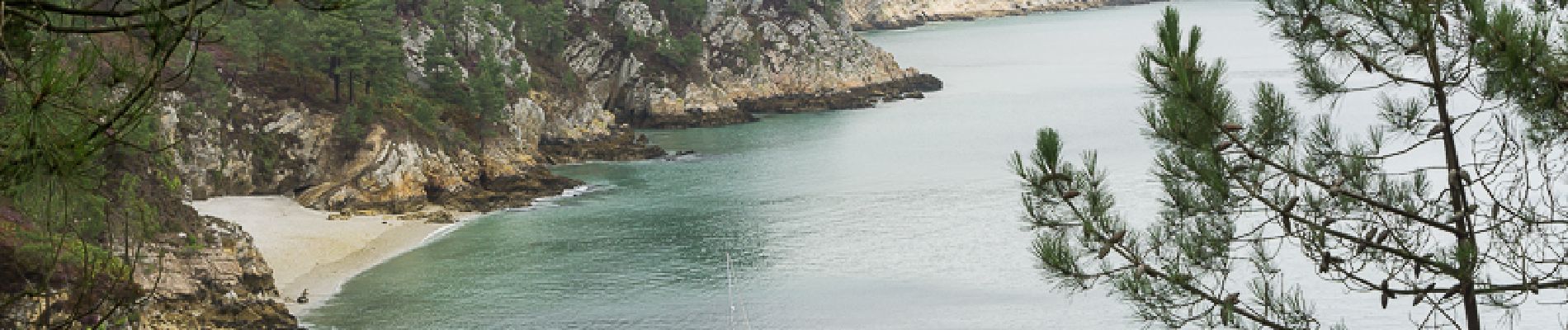 Excursión Senderismo Crozon -  Tour du Cap de la chèvre - Photo