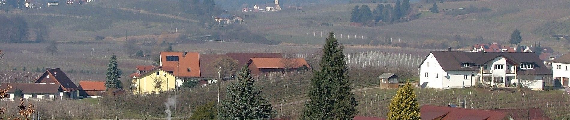 Tour Zu Fuß Wasserburg (Bodensee) - Nordic-Walking Bayerischer Bodensee Bodolz R13 : Enzisweiler Runde - Photo