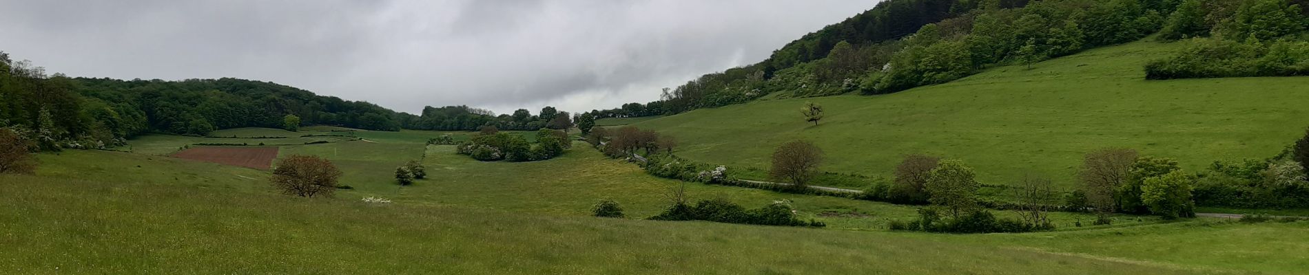 Tocht Stappen Saint-Martin-du-Mont - Saint Martin du mont - Photo