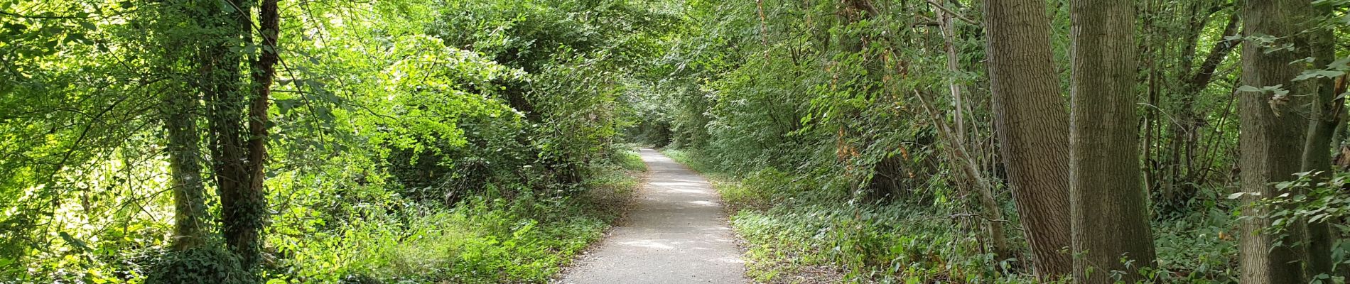 Tour Elektrofahrrad Ronse - Renaix- La Houppe par Ellezelles - Photo