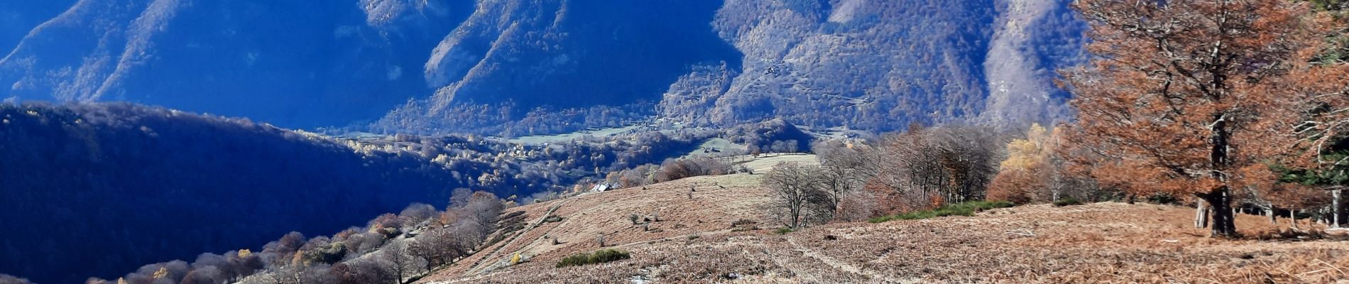 Trail Walking Gouaux-de-Luchon - cabane de Salode en boucle depuis Gouaux de Luchon - Photo