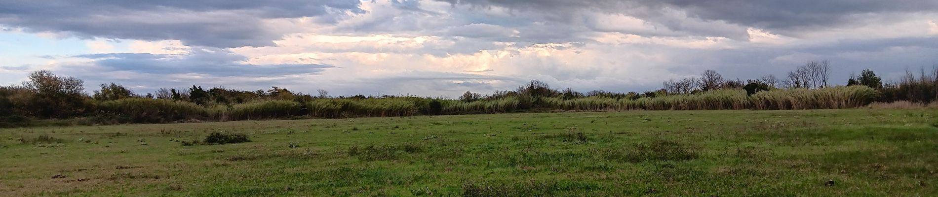 Tour Wandern Argelès-sur-Mer - réserve du mas Larrieu de part et d autre du Tech - Photo