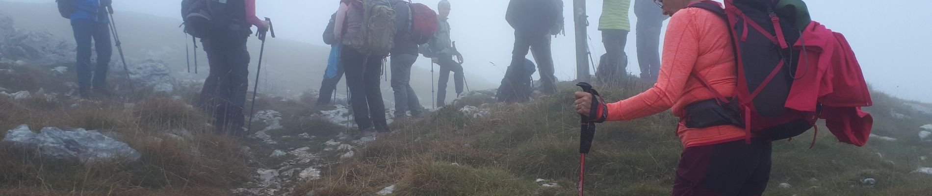 Tocht Stappen Lans-en-Vercors - Pic Saint Michel en circuit - Photo