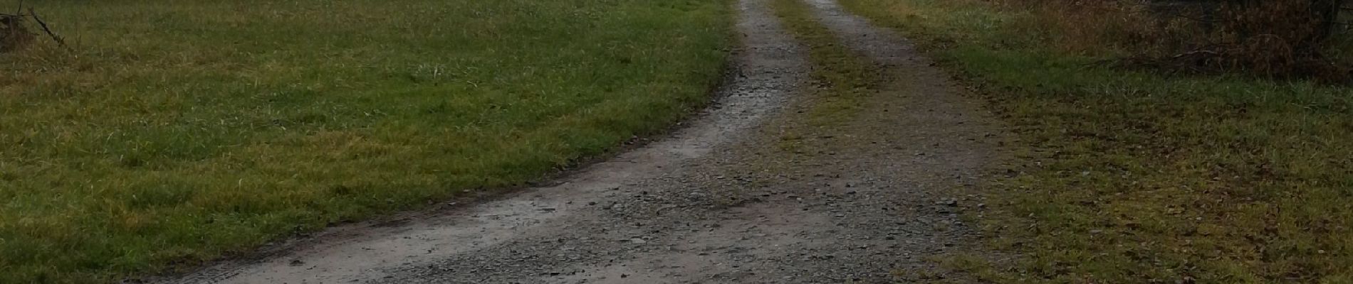 Percorso Equitazione Métairies-Saint-Quirin - rond pré rivière etangs - Photo