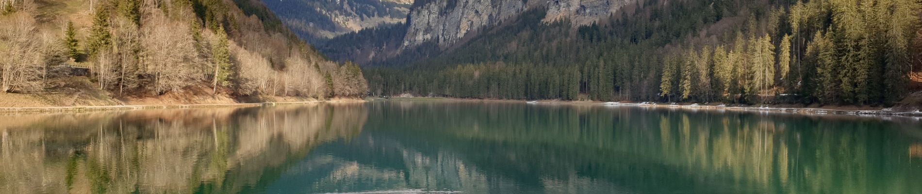 Tocht Stappen Montriond - Cascade d'argent - lac de Montriond - Photo