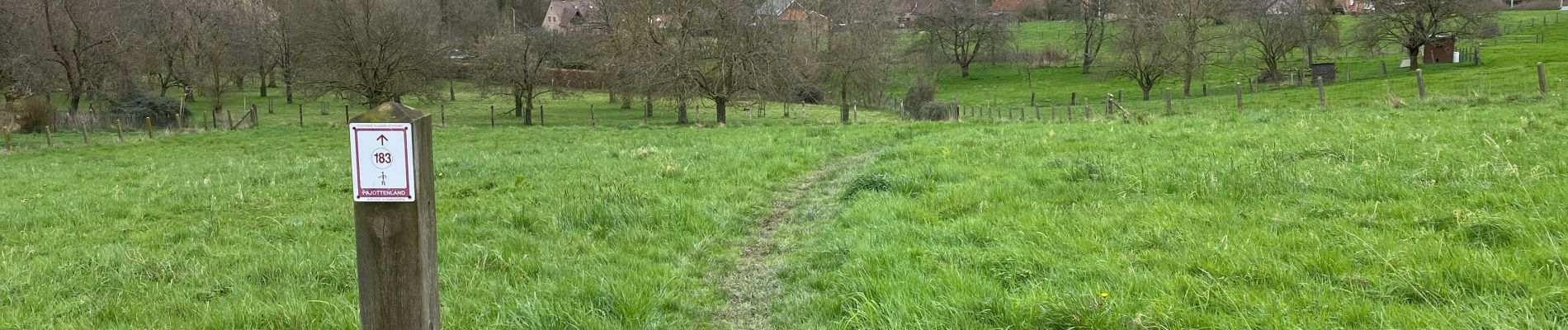 Randonnée Marche Ternat - Ternat 23,4 km - Photo