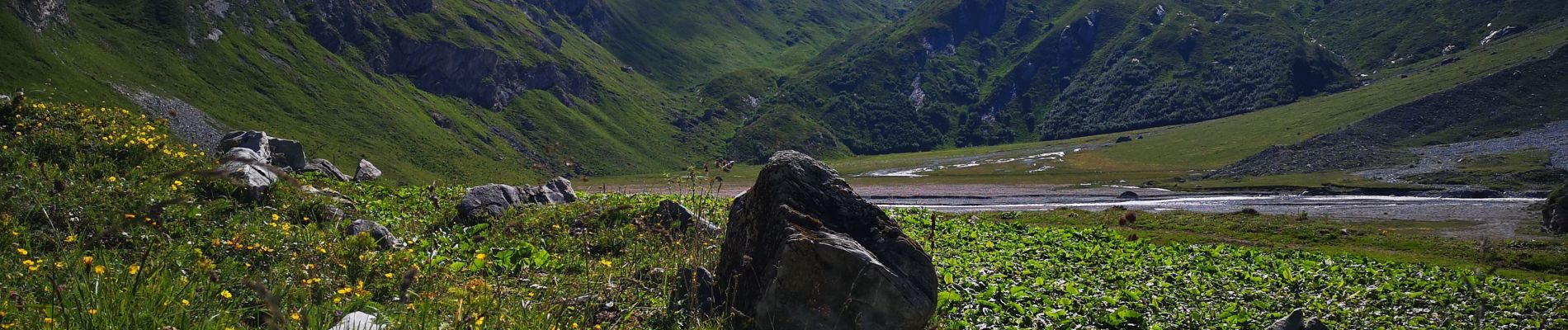 Excursión Senderismo Champagny-en-Vanoise - Sentier des glaciers-Vanoise 18 07 2020 - Photo