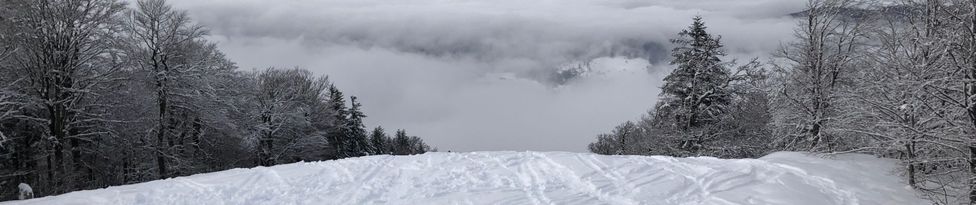 Randonnée Ski de randonnée Bussang - La bouloie - Photo