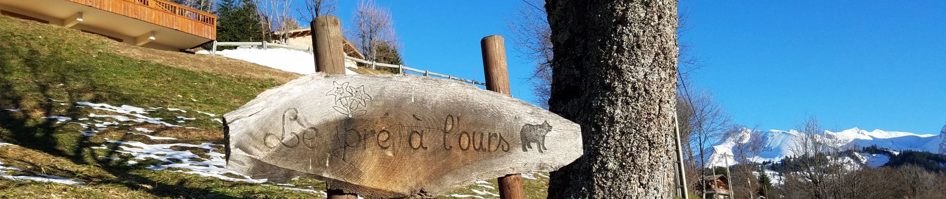 Tocht Sneeuwschoenen Manigod - pré à l'ours  - Photo