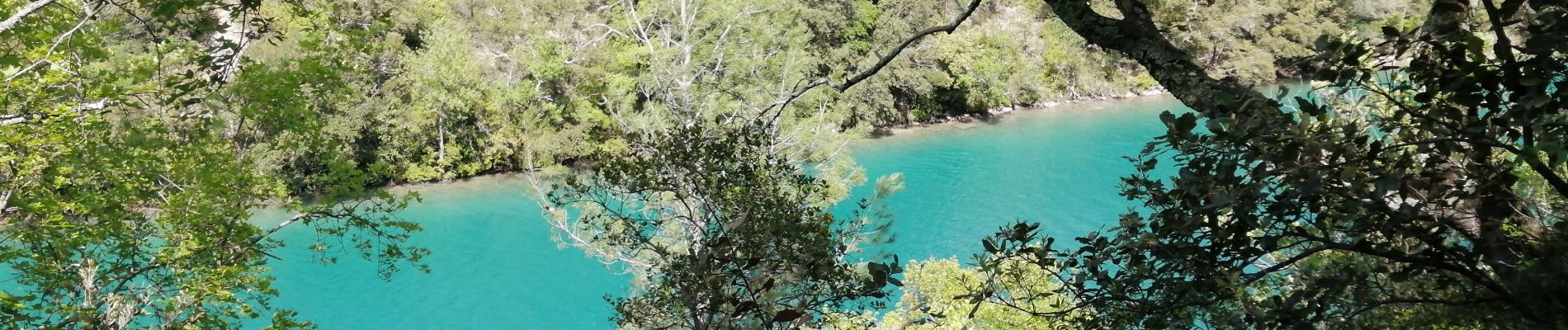 Tour Wandern Montmeyan - les basses gorges du Verdon  - Photo