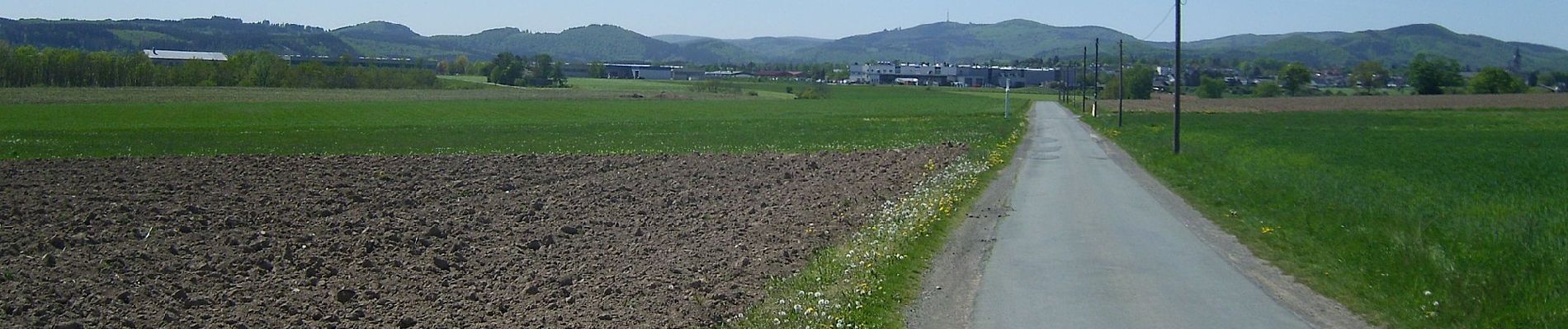 Percorso A piedi Medebach - Medebach Rundweg M4 - Photo