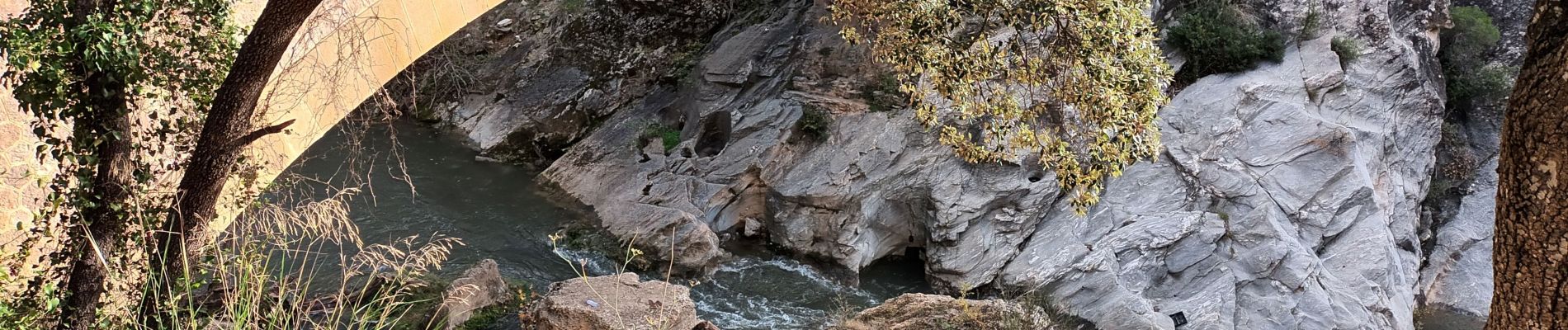 Percorso Marcia Les Arcs-sur-Argens - sommet des Terriers, les Arcs sur Argens, 15-11-23 - Photo