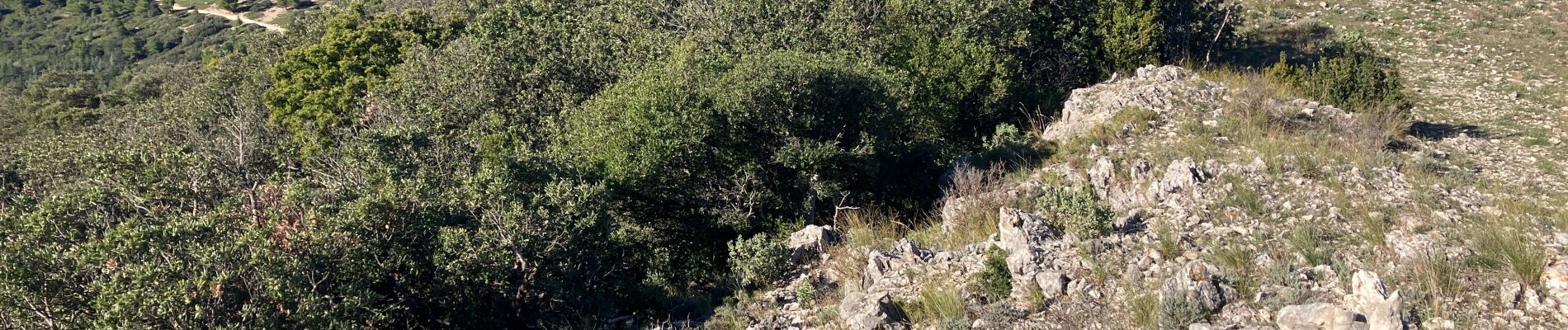 Tocht Trail Cheval-Blanc - Vidauque-Tête et Vallon des Buisses(15.5K 540D+) - Photo