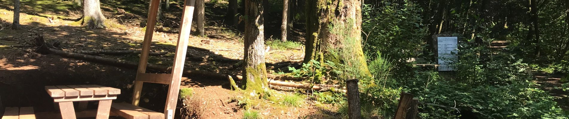 Punto di interesse Malmedy - Table couverte et bancs - Photo