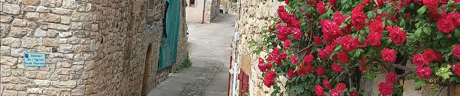 POI Compeyre - Compère rue à gauche après le snack sous l'église  - Photo