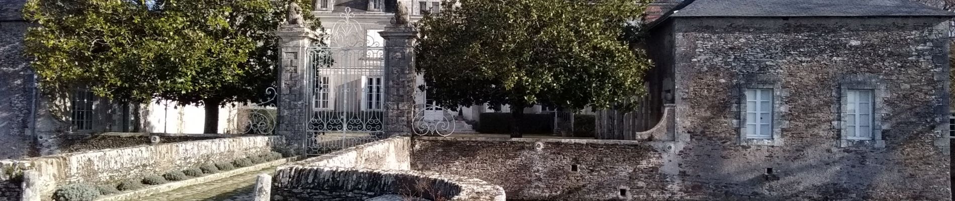 Tocht Stappen Le Loroux-Bottereau - rando du vignoble avec liaison - Photo