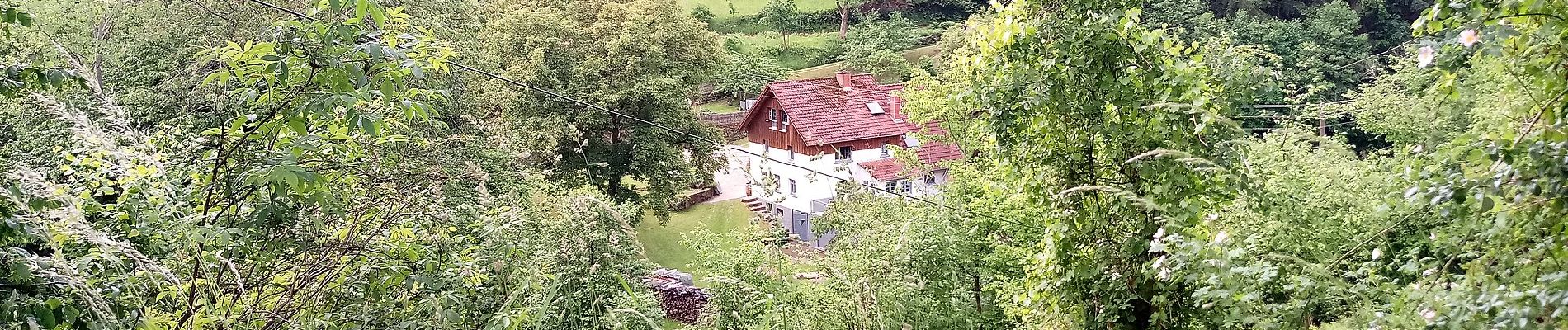 Tocht Te voet Mudau - Rundwanderweg Reisenbacher Grund 2 - Photo