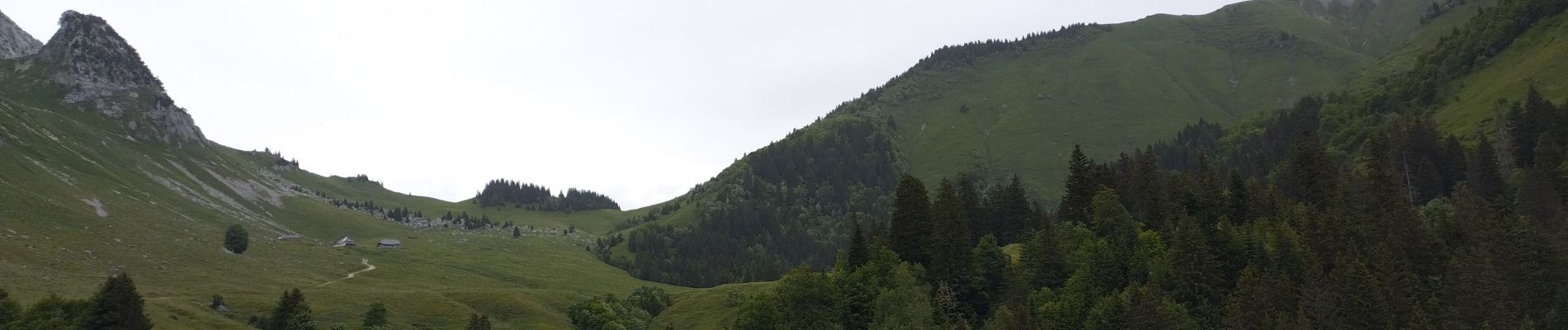 Trail Walking Plancherine - chalet de Drison à nant fourchu  - Photo