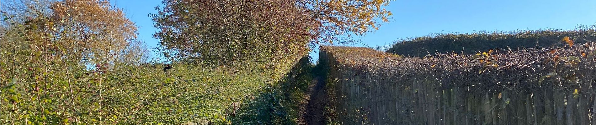 Randonnée Marche Genappe - Autour de Bousval 2 - Photo