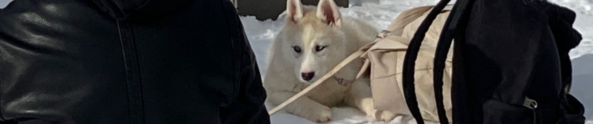 Percorso Racchette da neve La Clusaz - 13 - tête du Danay - Photo