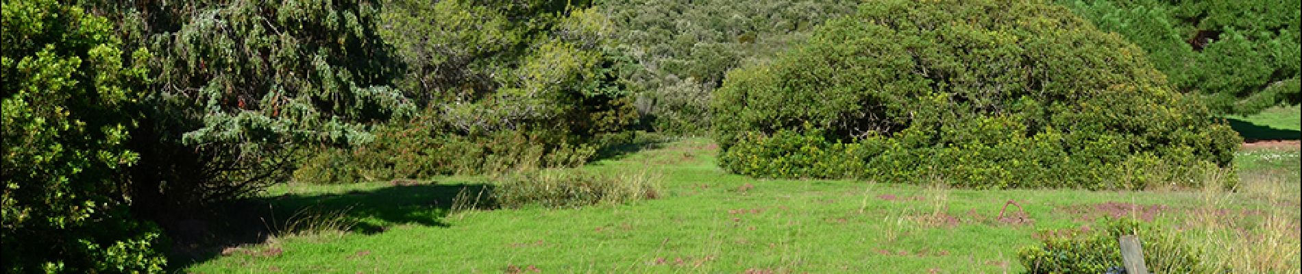 Trail Walking Saint-Raphaël - MF Roussivau - Ruines Dissate - Pont du Perthus et retour - Photo