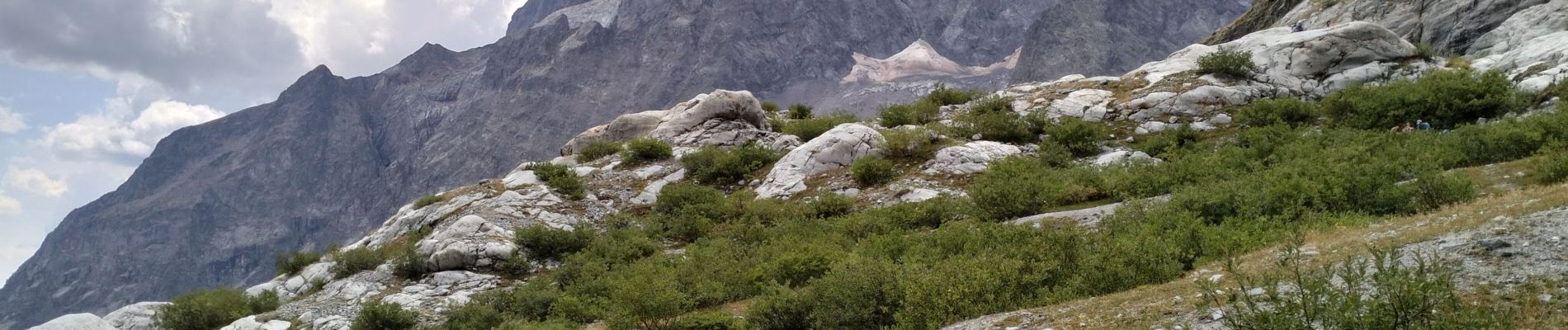 Tour Wandern Vallouise-Pelvoux - 05-pre-Mme-Carle-refuge-glacier-blanc-10km690m - Photo