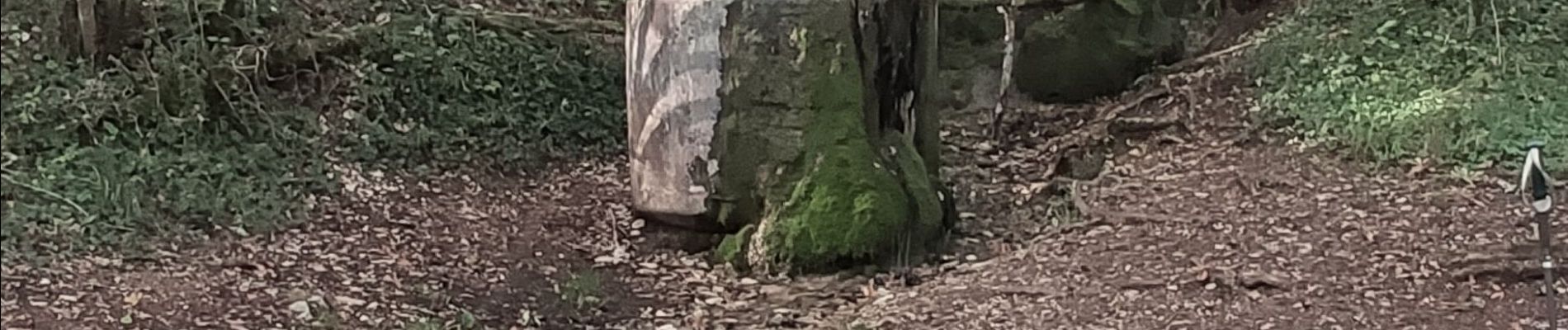 Point d'intérêt Plombières-lès-Dijon - Source-de-la-Fontenotte - Photo