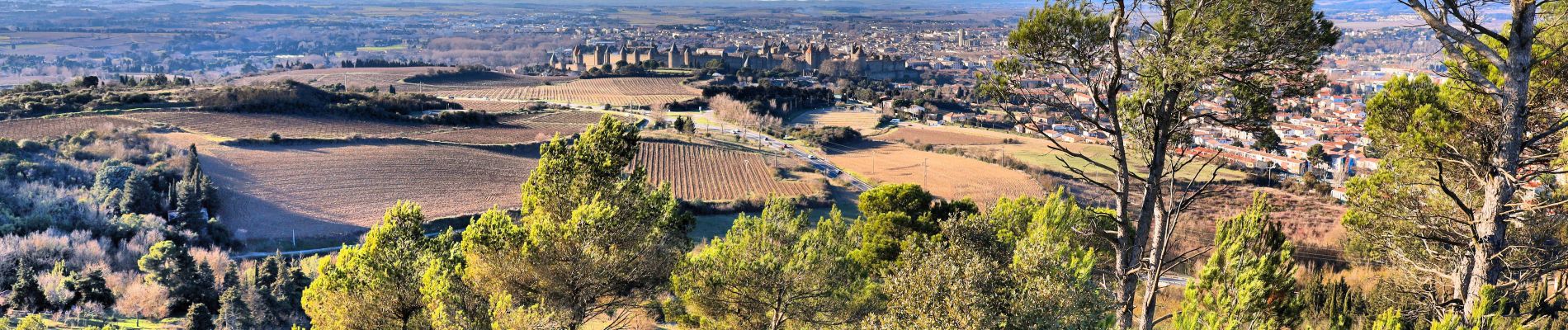 Randonnée Marche Carcassonne - Accès point de vue Cité - Photo