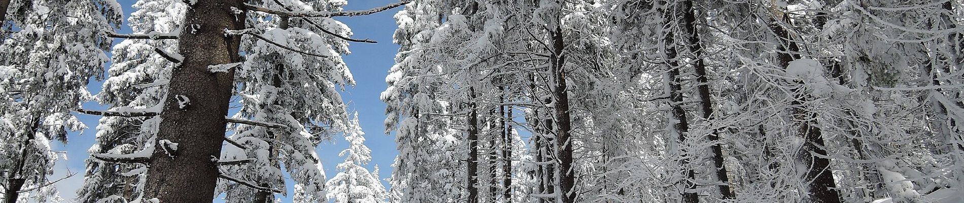 Excursión A pie Čachrov - [M] Pod Malým Špičákem - Habr - Photo