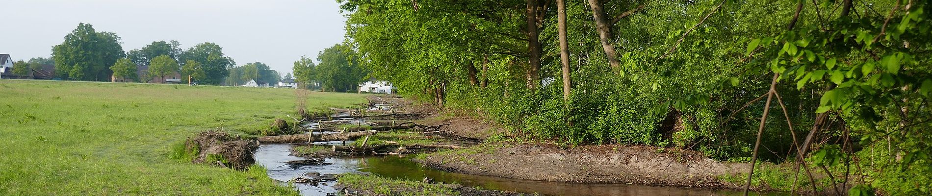 Tocht Te voet Hövelhof - Emsquellen Rundwanderweg - Photo