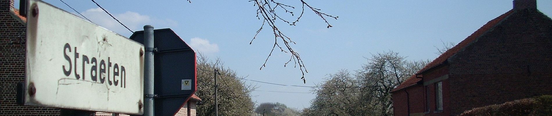 Tocht Te voet Sint-Truiden - Cicindria Straeten oranje bol - Photo