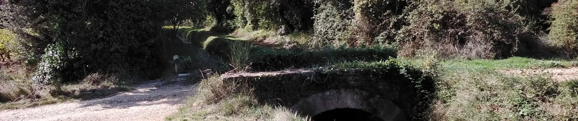 Randonnée Marche Sarrians - garrigues de sarrians  - Photo