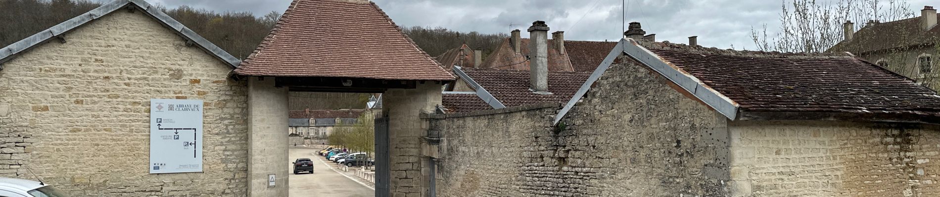 Tocht Stappen Ville-sous-la-Ferté - Clairvaux 14 km - Photo