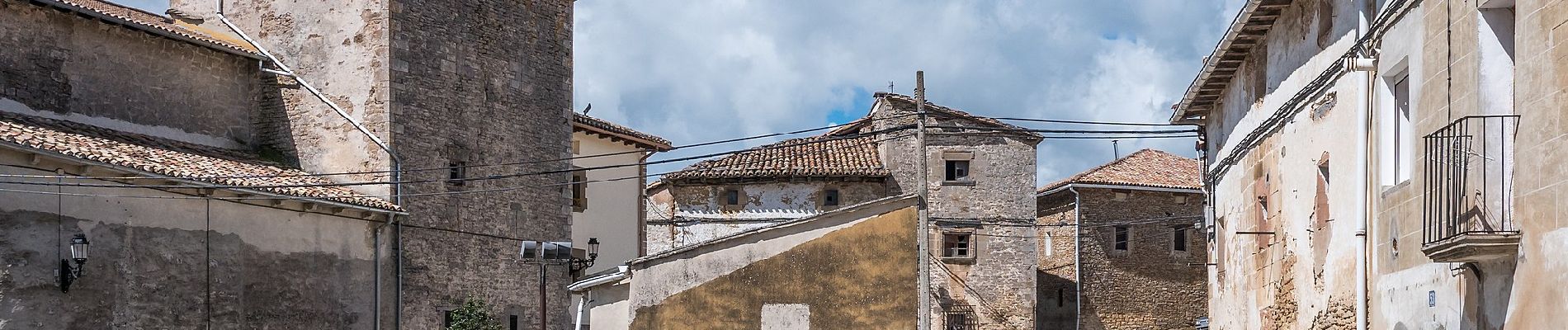 Percorso A piedi Lezaun - Lezaungo pagadia / Hayedo de Lezáun - Photo