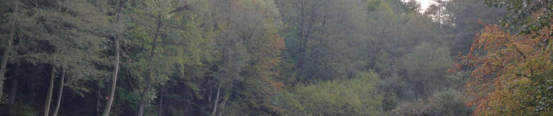 Percorso A piedi Fosses-la-Ville - Promenade_du_diable_10,5km - Photo