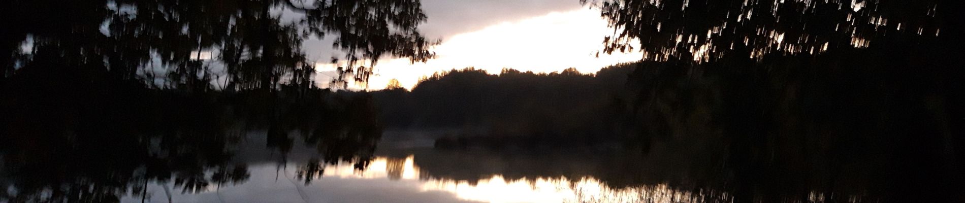 Tocht Stappen Gennes-Val-de-Loire - étang de joreau - Photo