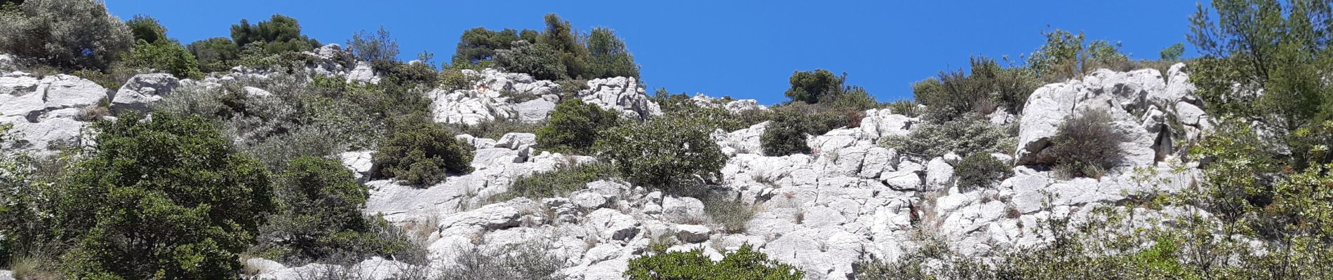 Excursión Senderismo Ollioules - Le Gros Cerveau - Photo