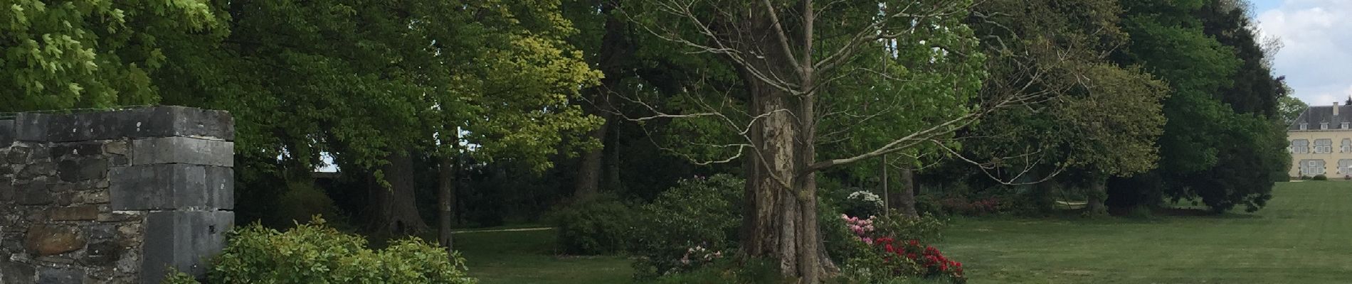 Excursión Senderismo Olne - Trooz par le château de Forêt  - Photo