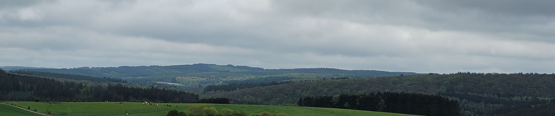 Tour Wandern Libin - rando redu  11-05-2023 - Photo