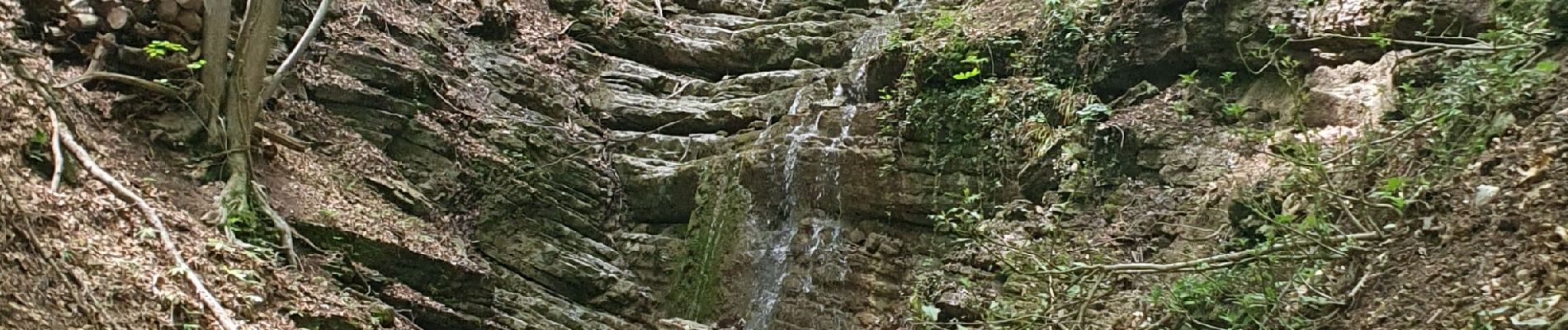 Tocht Stappen Albese con Cassano - Monte bolettone - Photo