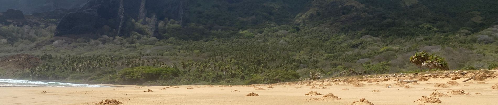 Tour Wandern Nuku Hiva - Haatuatua - Photo