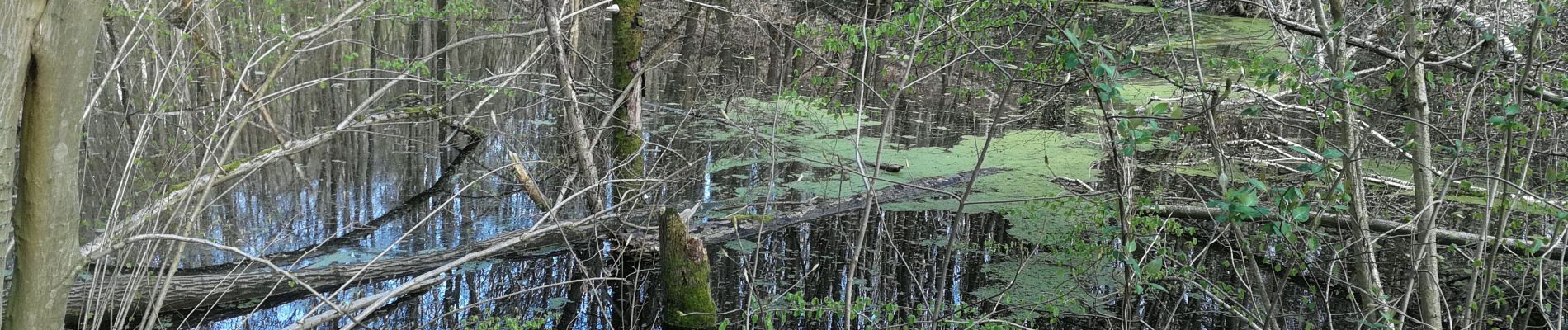 Point d'intérêt Braine-le-Comte - 