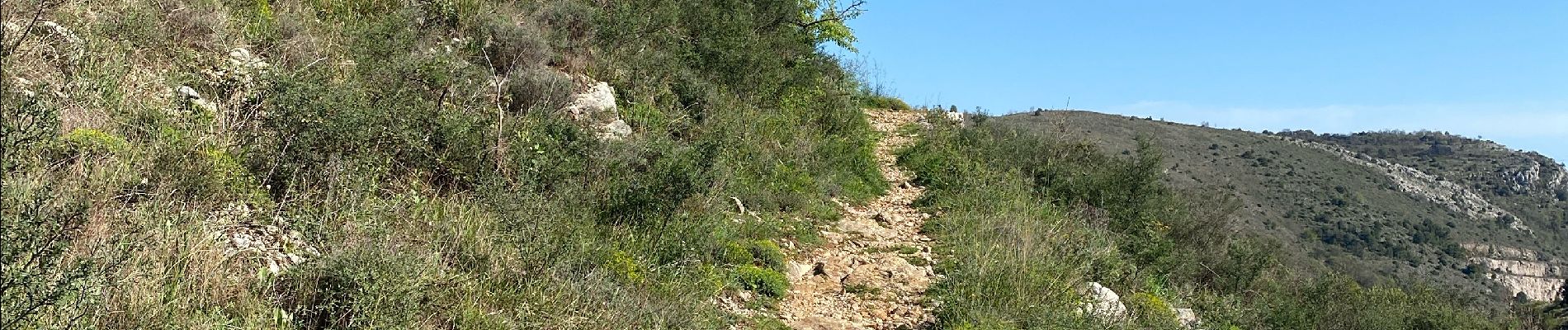 Trail  Vence - Col de vence 06 - Photo