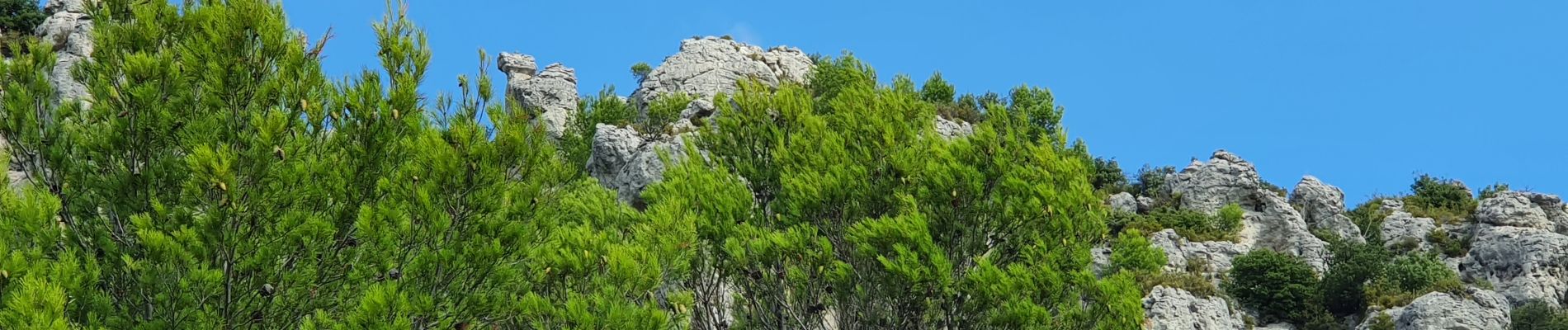 Tocht Stappen La Roquebrussanne - La Roquebrussane la cheminée  de la Loube - Photo