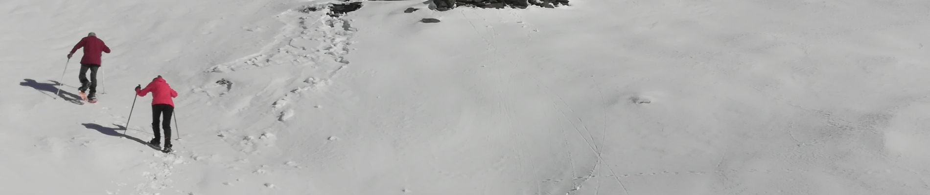 Excursión Raquetas de nieve Bagnères-de-Bigorre - Courcaou de la Lit - Photo