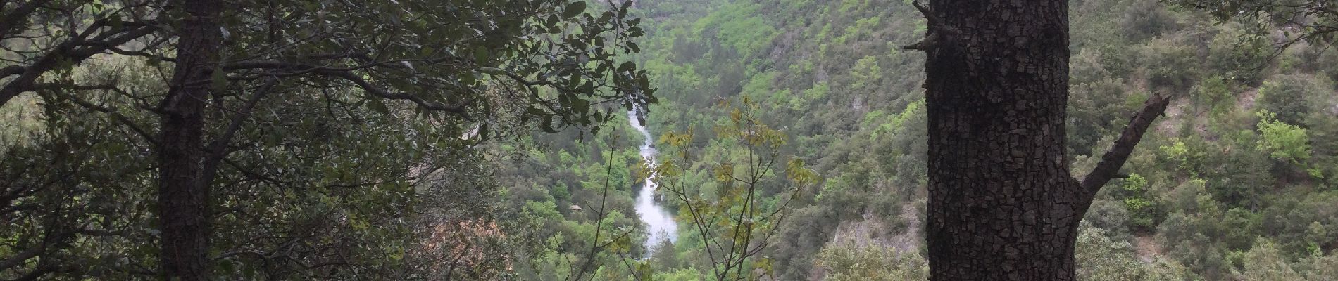 Excursión Senderismo Rogues - 34 le roc du saut du loup 2/05/22 - Photo