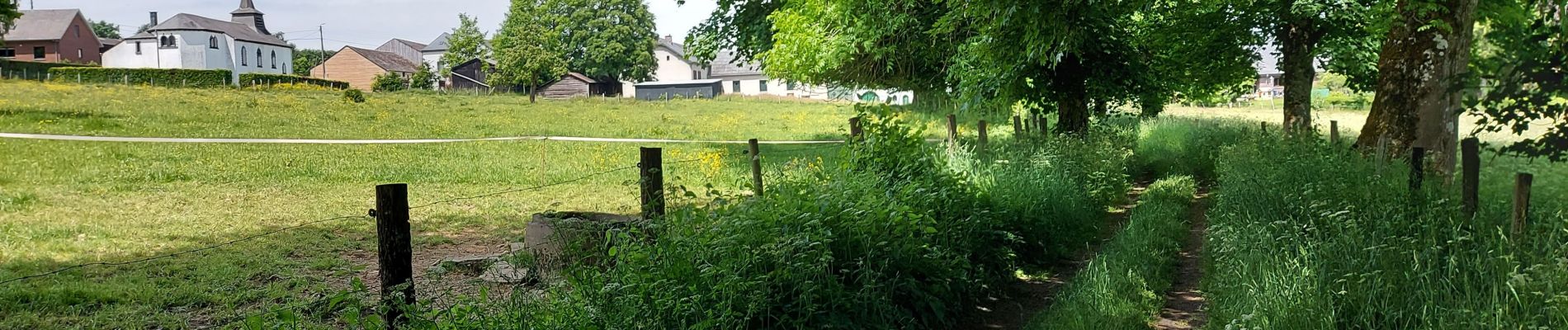 Tour Wandern Bastnach - Lutrebois 030622 - Photo