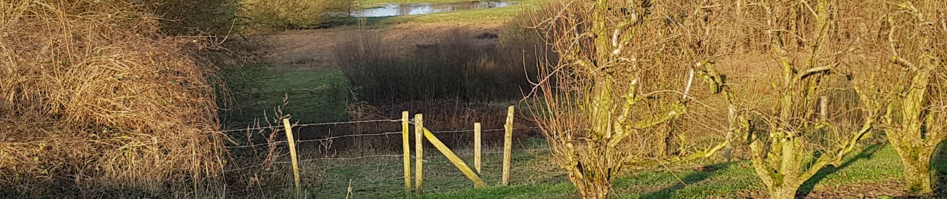 Tocht Te voet Hoegaarden - Natuurpunt Meldert Mene-Jordaanvallei - Photo